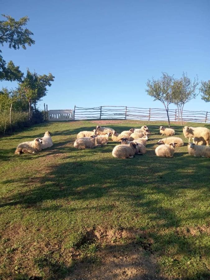 Chez Marthe, Organic Farm Stay Knin Exterior foto