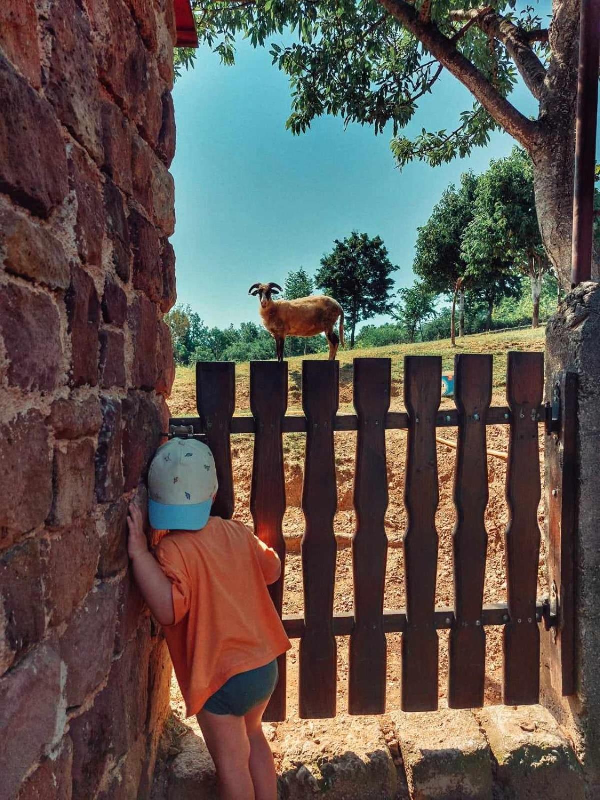 Chez Marthe, Organic Farm Stay Knin Exterior foto